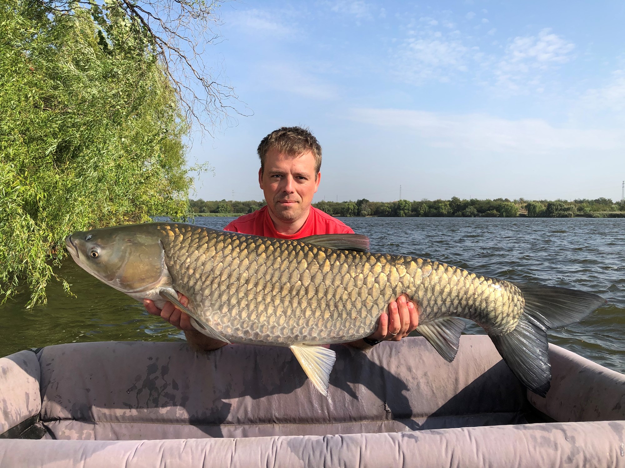 Tancabesti 17 - 20 sept. - Cteno 19kg, luat din plaur la boilies